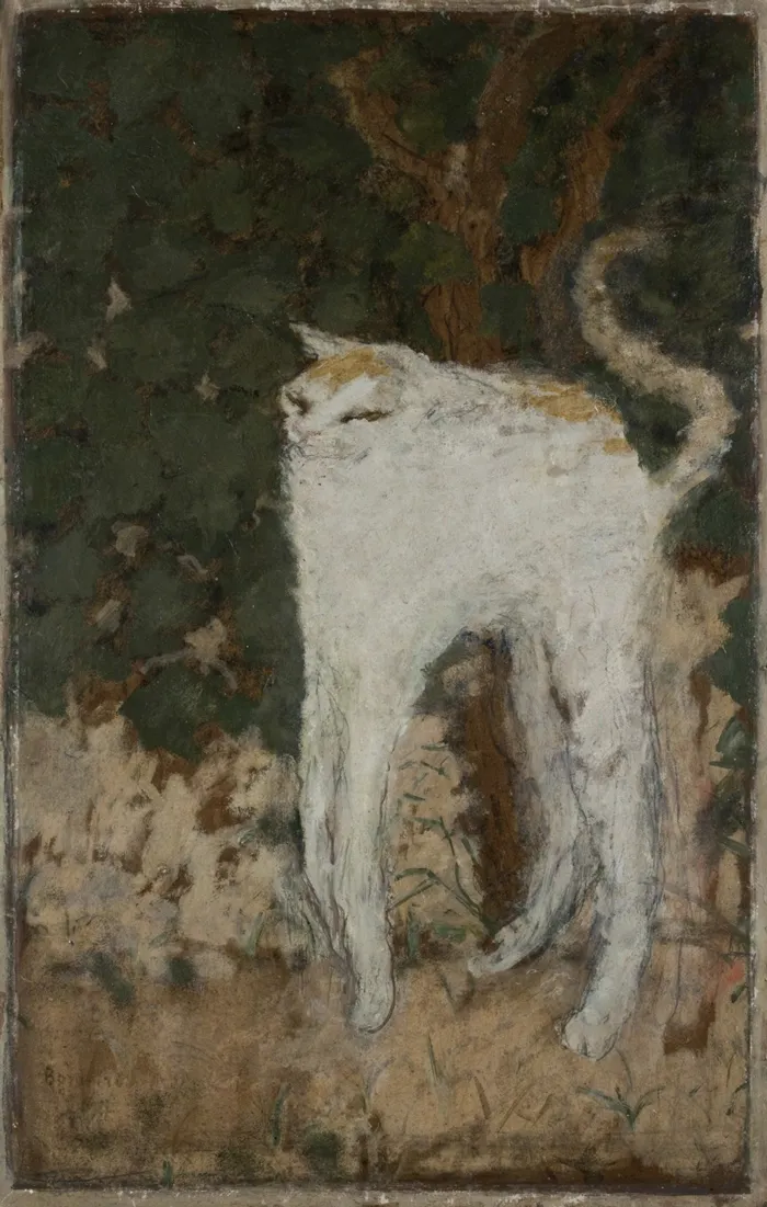 Белый кот (1894) 