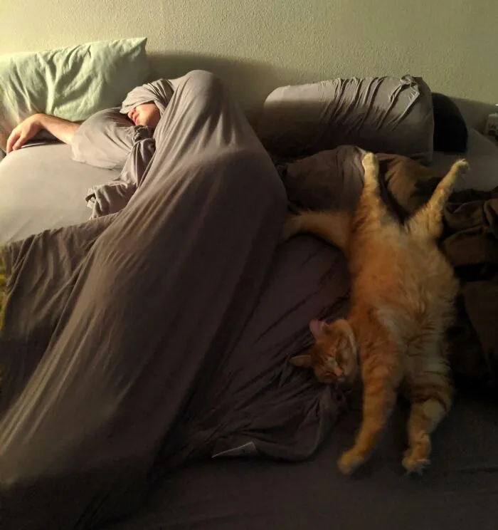 Спящий кот и его человек.