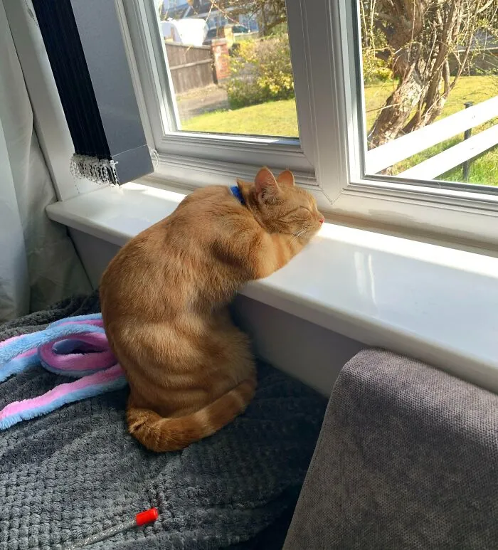 Засмотрелся.