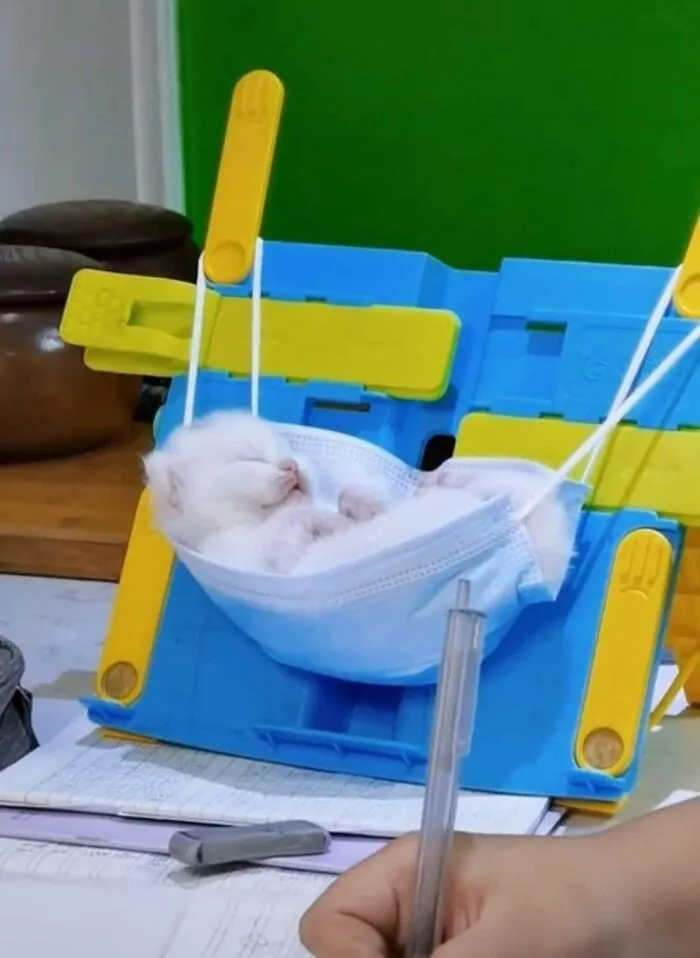 Б - безопасность.