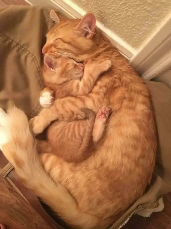 Мать и дитя.