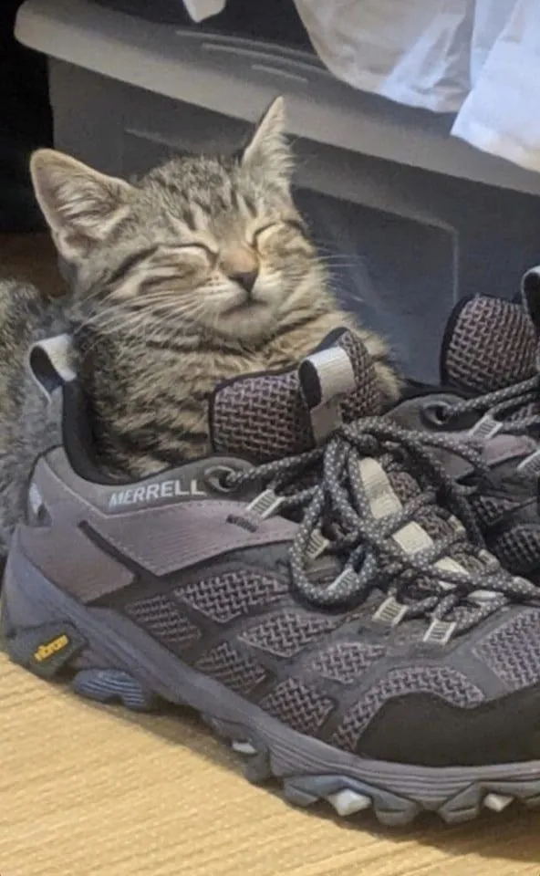 «Он спит в ботинке».