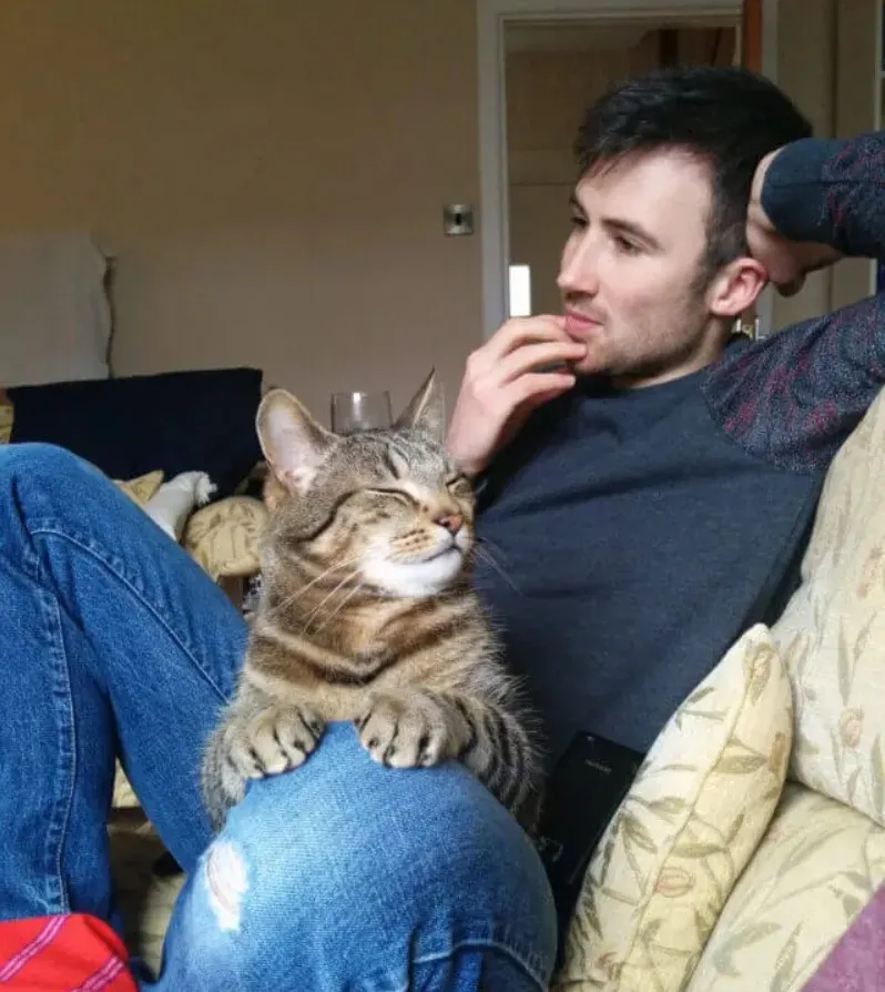 «Моя кошка без ума от моего парня».