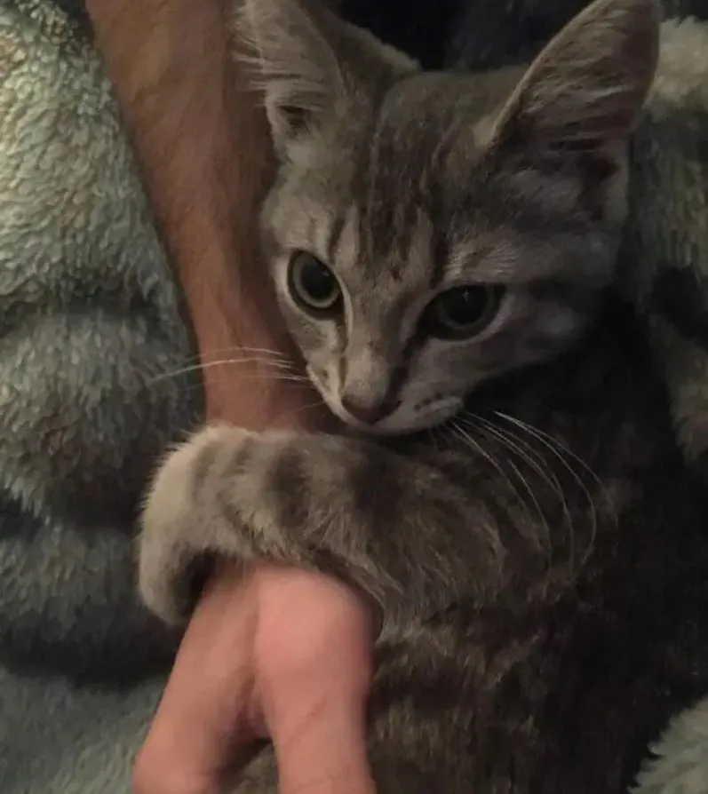 «Не отдам».