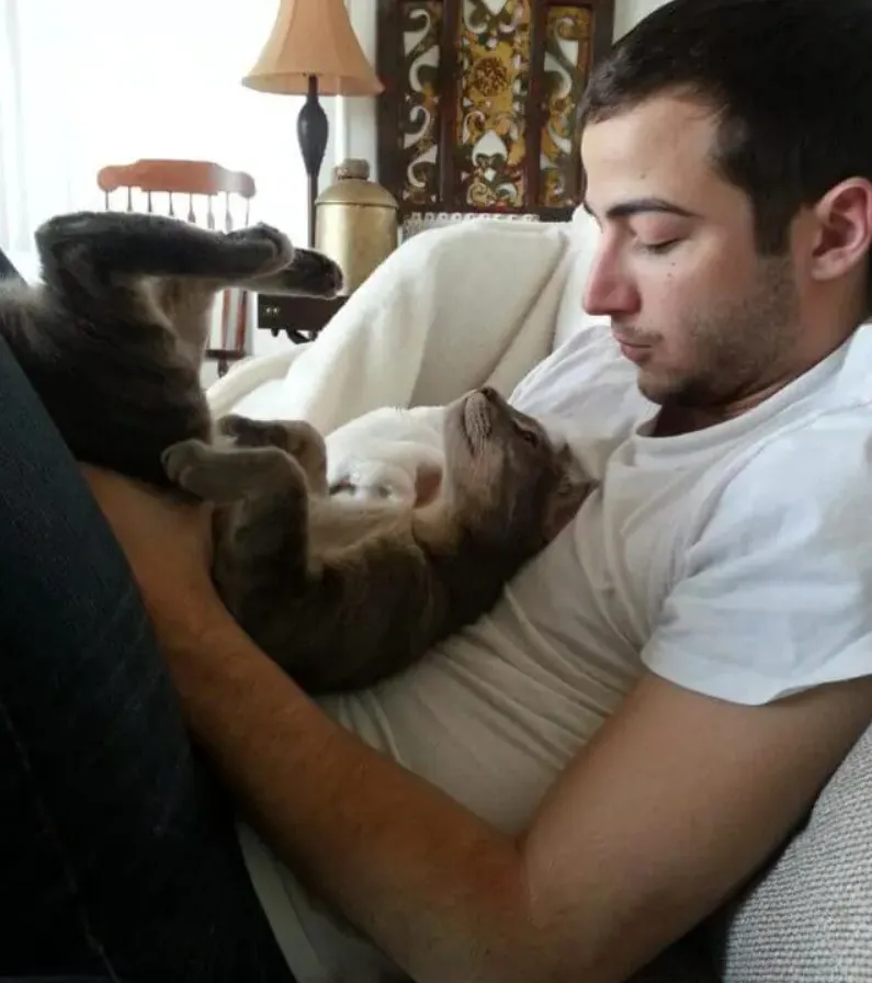 «Очень милый момент между моей кошкой и бойфрендом».