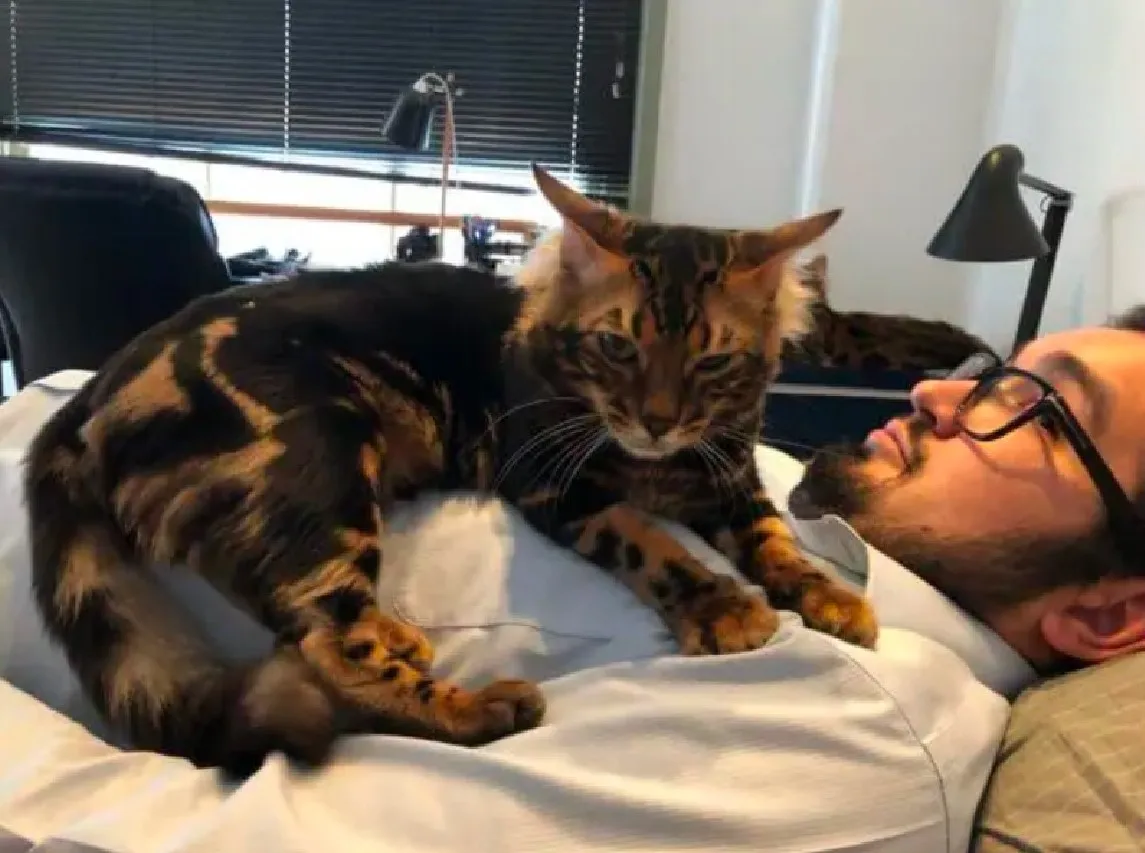 «Теперь он мой, кожаная».