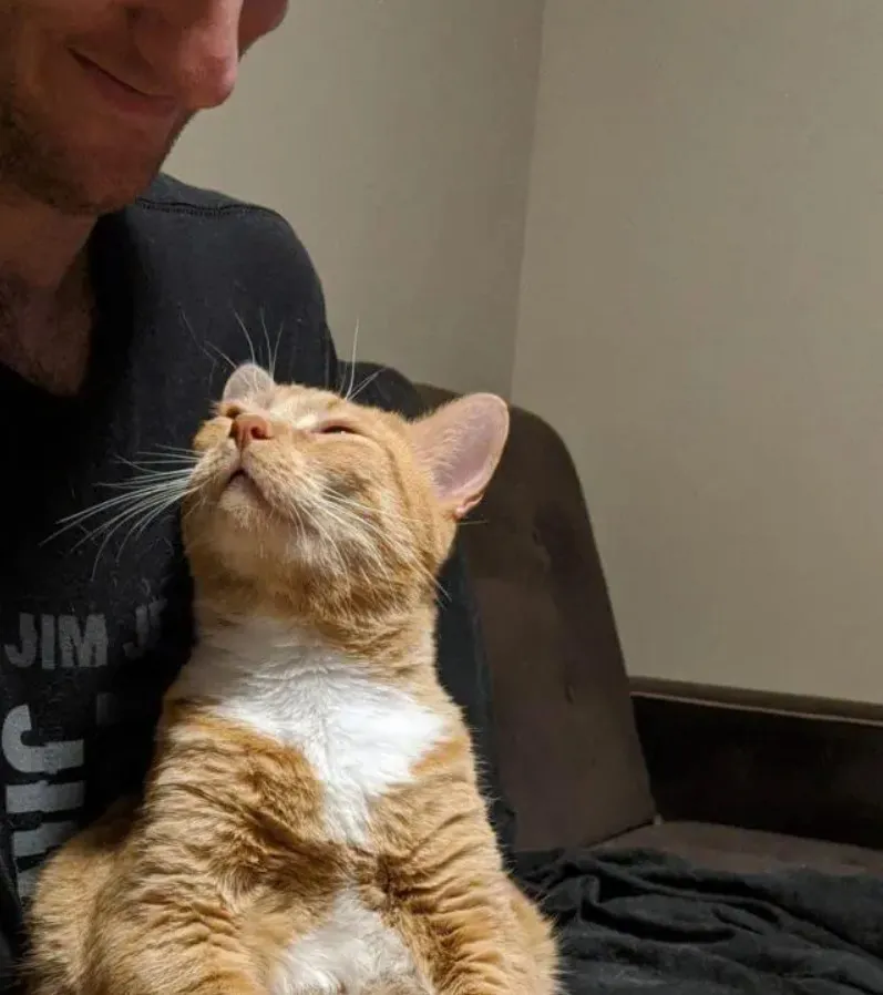 «Это безумно мило. Но я немного ревную».