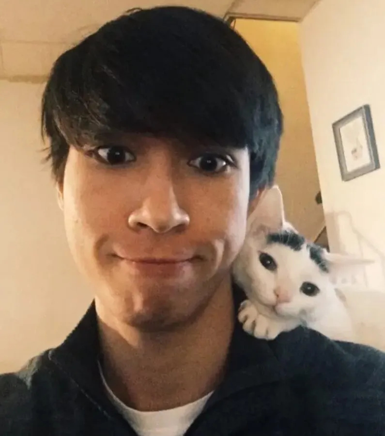 «Моя кошка похитила моего парня, и очень этим довольна».