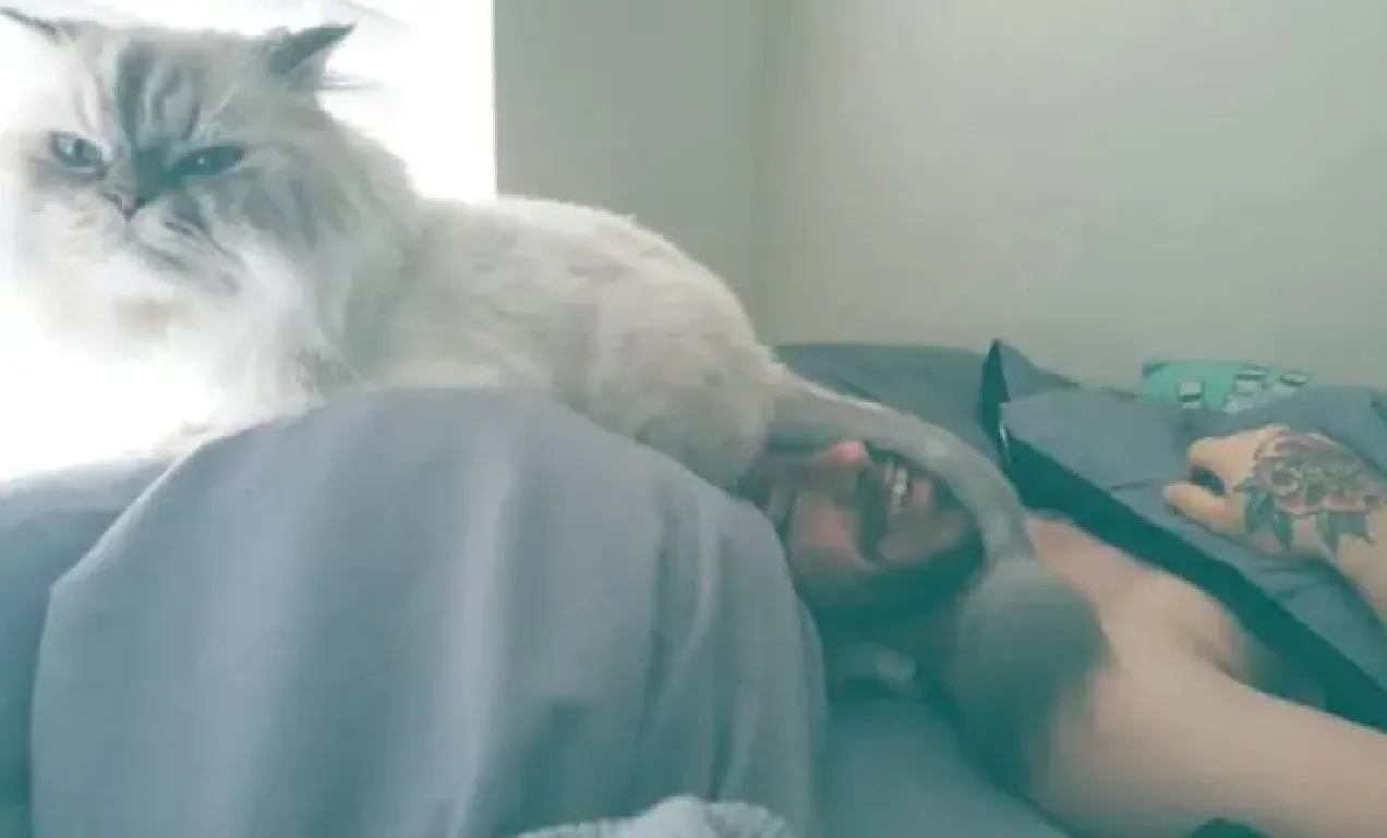 «Извини, двуногая, но ты потеряла своего мужчину».