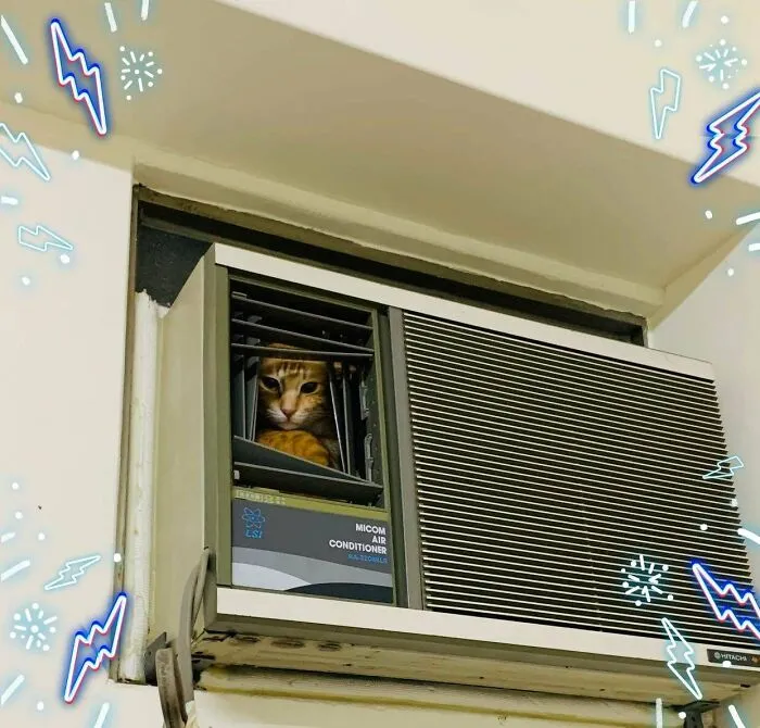 «Как ты там оказался?».