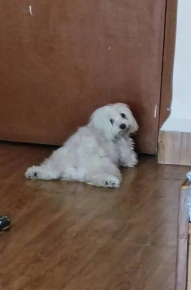 «Скажи, что ты хочешь на улицу, не говоря об этом».