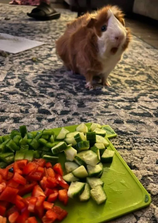 «Боже мой, это всё для меня?»