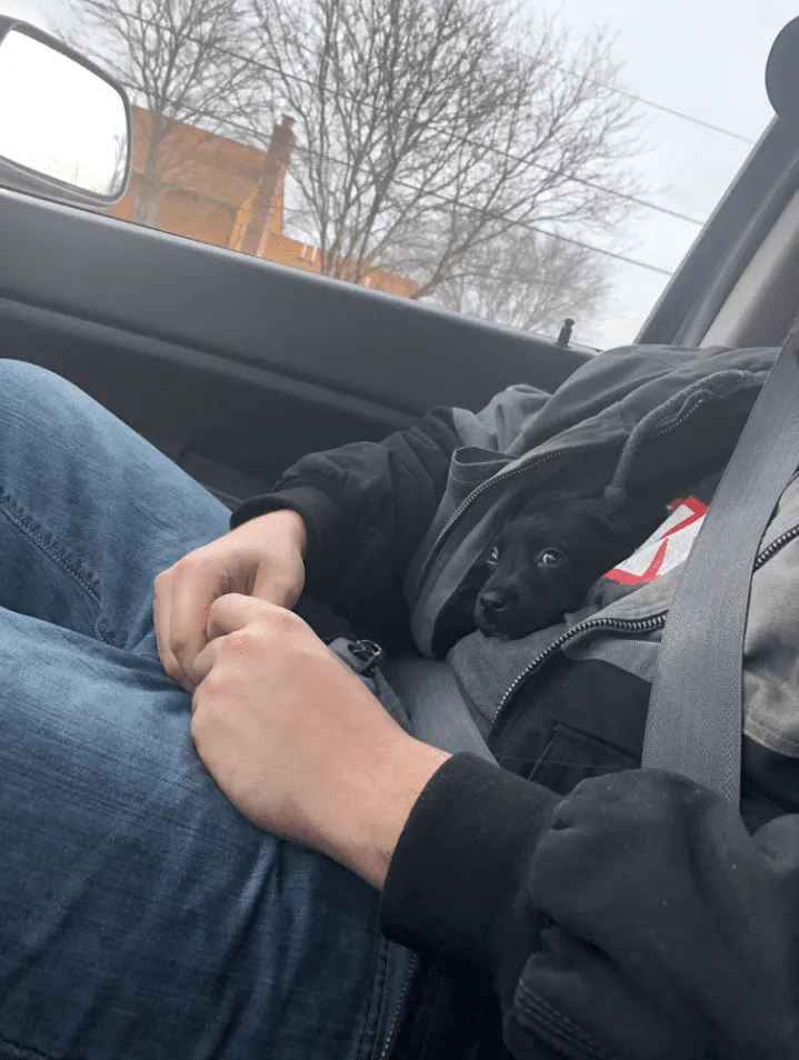 Хороший способ играть в прятки и везде сопровождать своего человека.