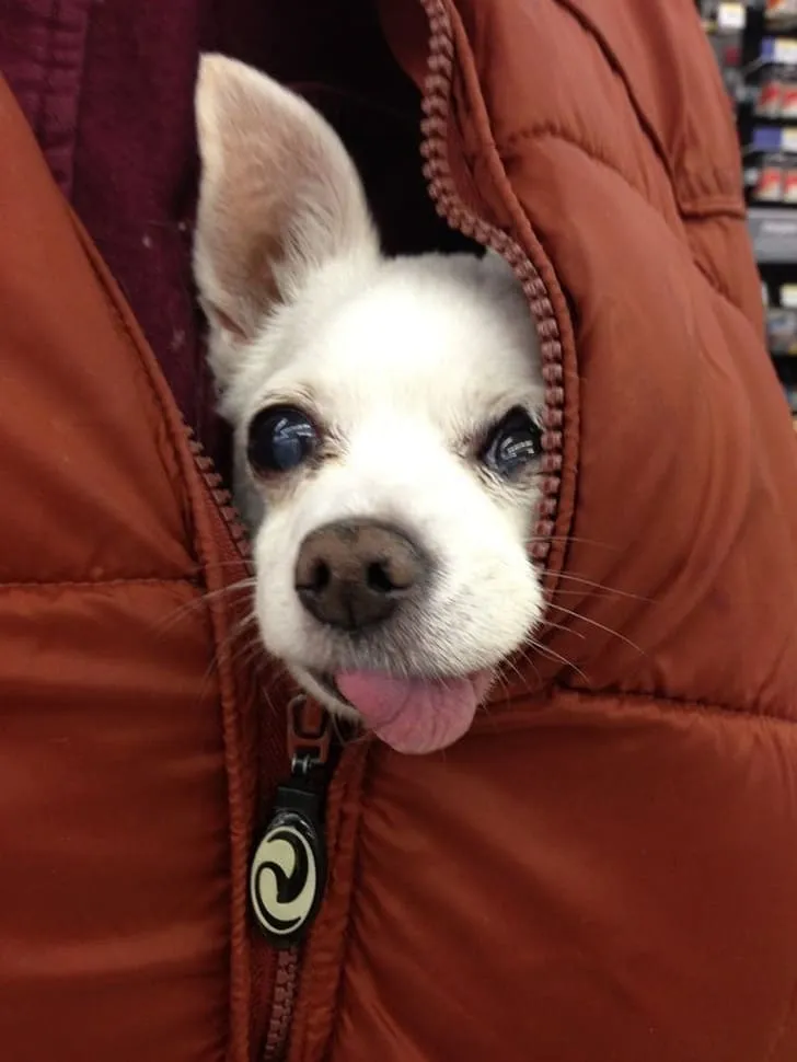 Ну что за милашка-стесняшка.