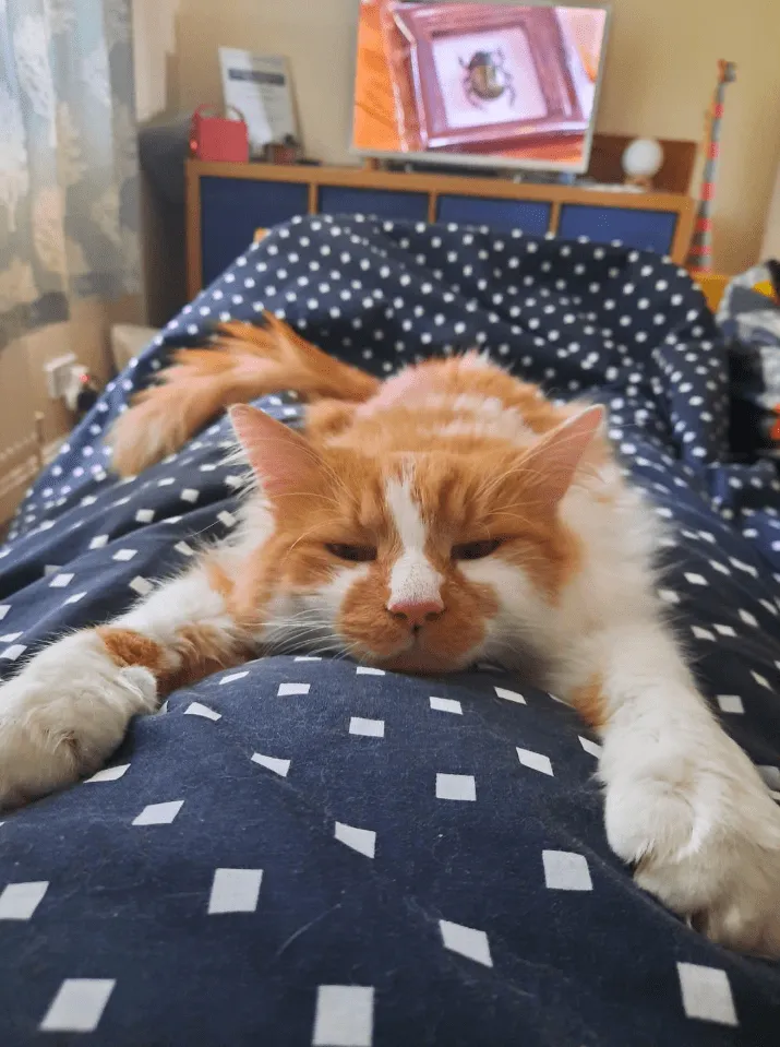 «Мама спит, но я все равно не хочу отходить от нее».