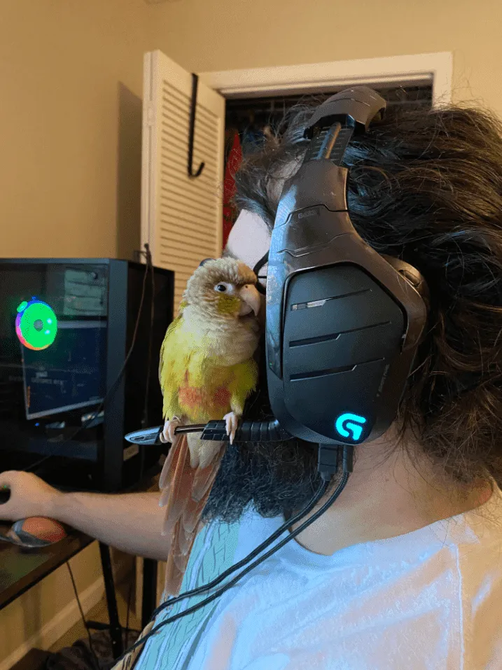 «Что ты слушаешь? Можно и мне тоже?»