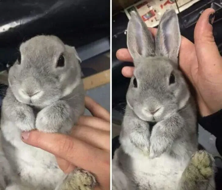 Так и хочется его обнять.