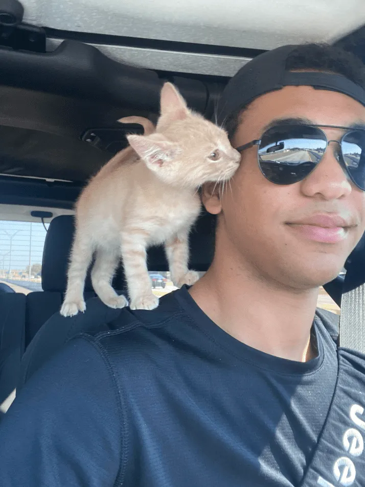 «Человек, я люблю тебя».