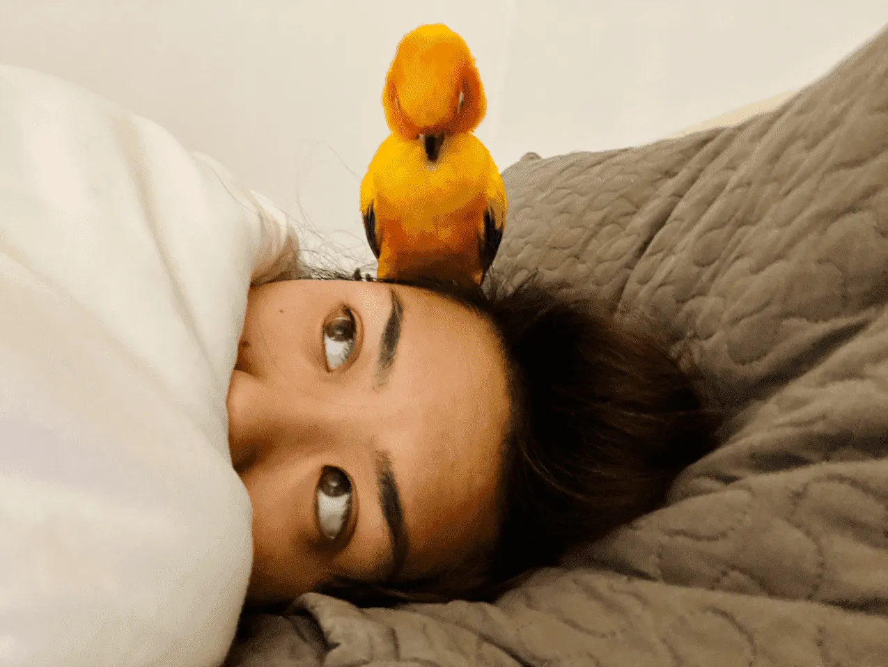 «Доброе утро, мам!»