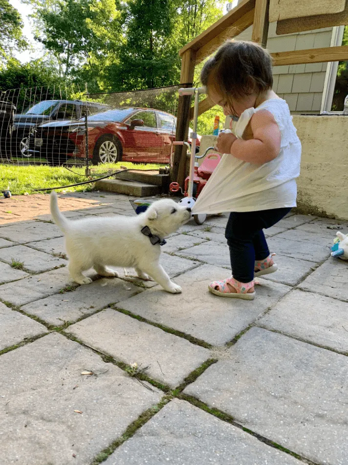 «Доброе утро, мам!»