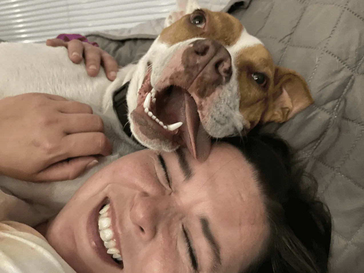 Безумные утренние обнимашки.