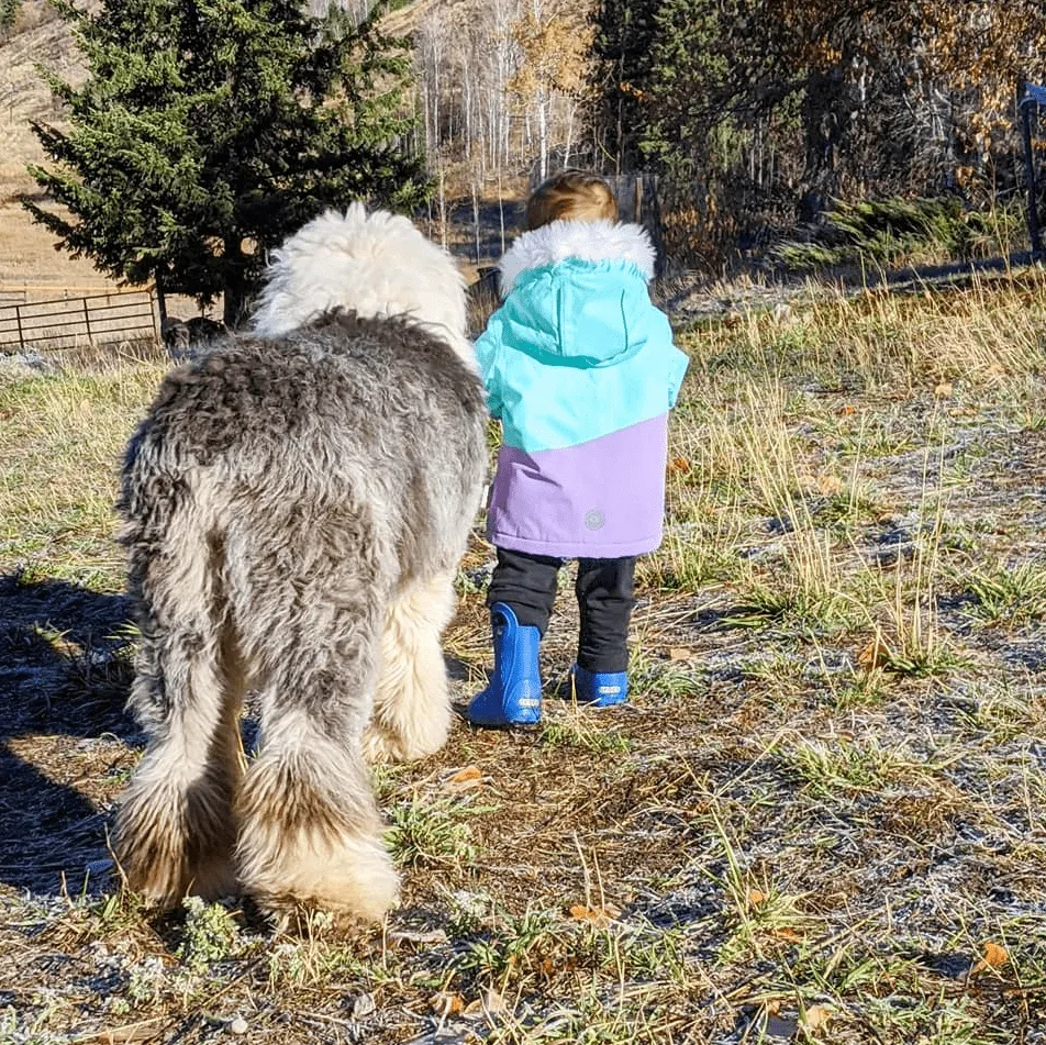 Лучшие друзья на прогулке.