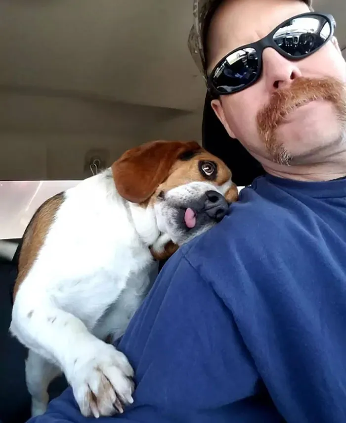 Щенок обнимает своего нового хозяина, спасшего его от эвтаназии. 