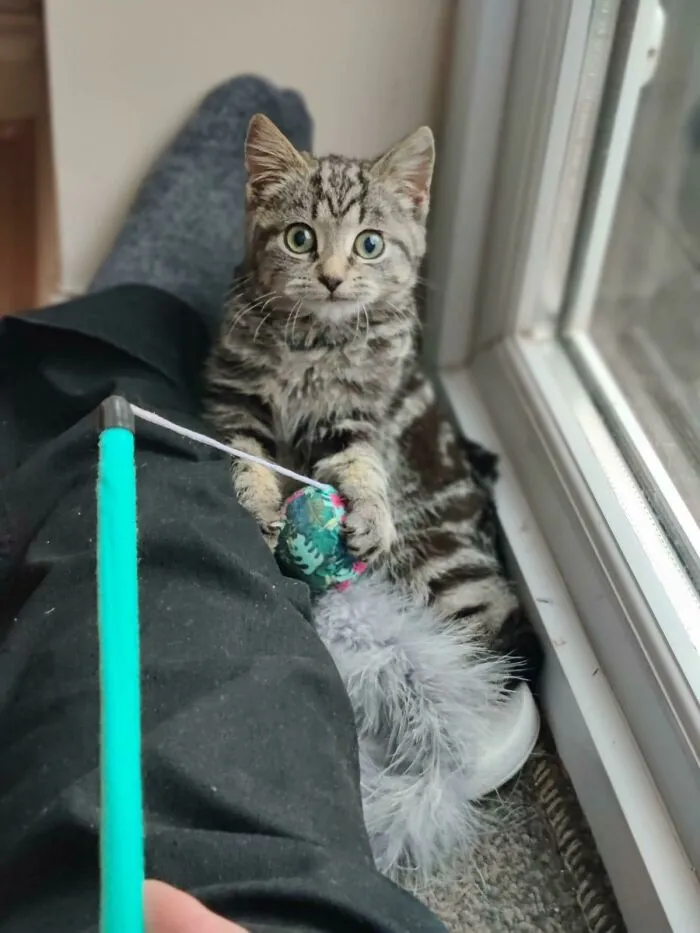 «Это Пузырик. Мы усыновили его, зная, что он дикий и агрессивный, но всего за три дня он изменился».