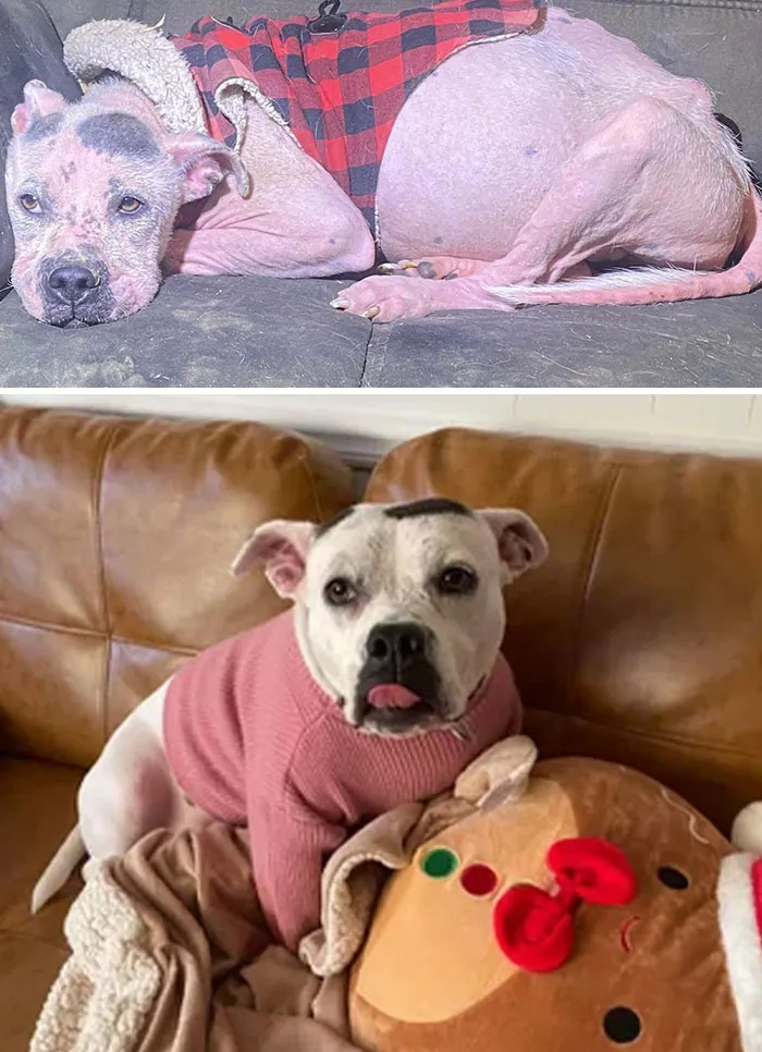 «Преображение нашей малышки Лолы».