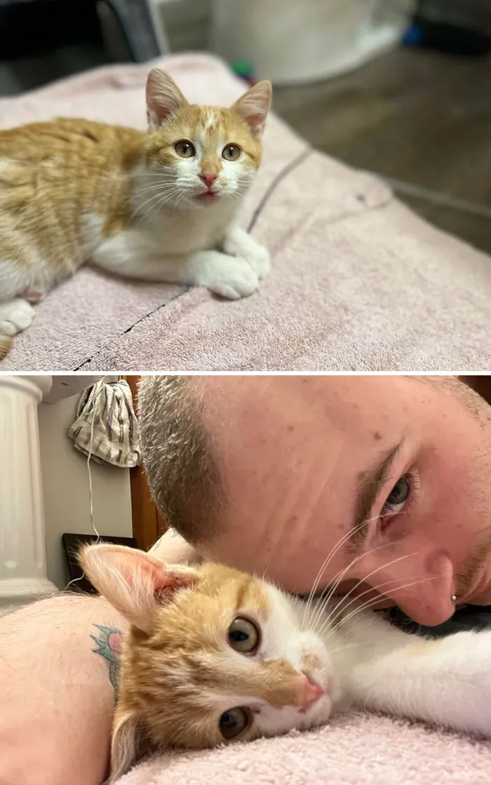 «Этого красивого мужчину кто-то выбросил из машины, к счастью, я его нашел».