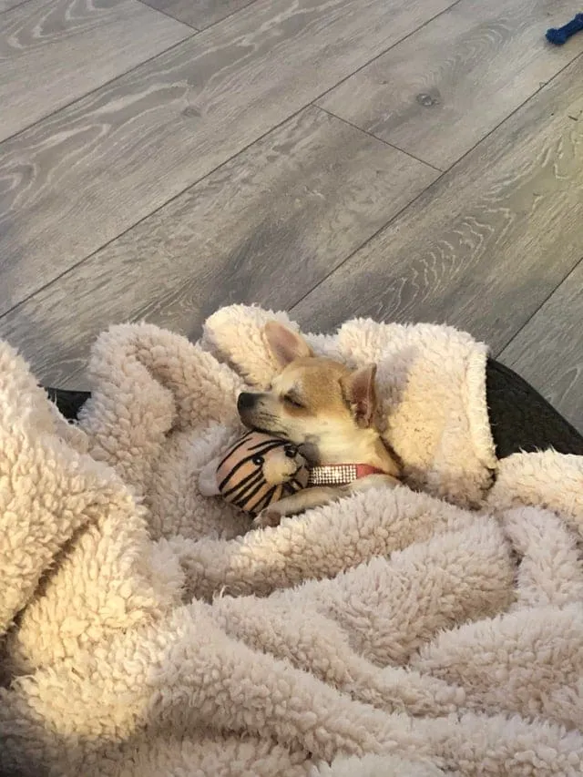 Воплощение уюта.