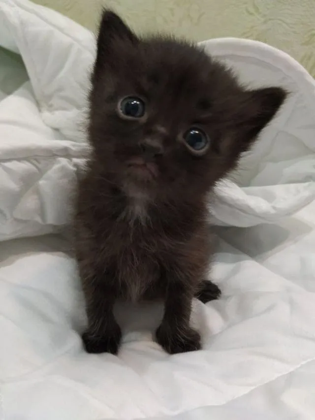 Разве законно быть таким очаровашкой?