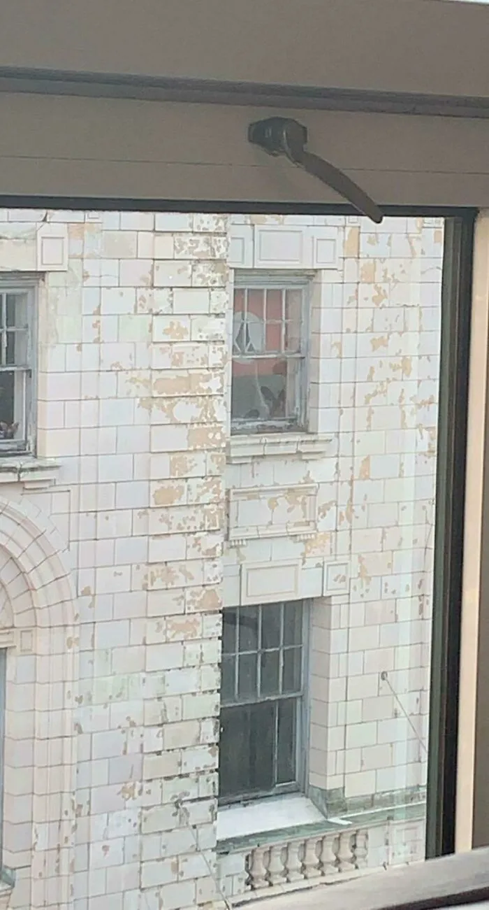 «Что это за флаг?» Ответ: это клингонский флаг из «Звездного пути.