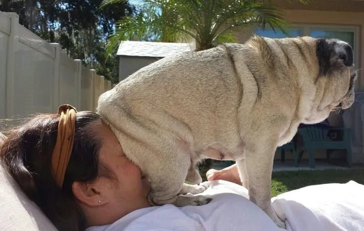 «Я сяду здесь, надеюсь, ты не против».