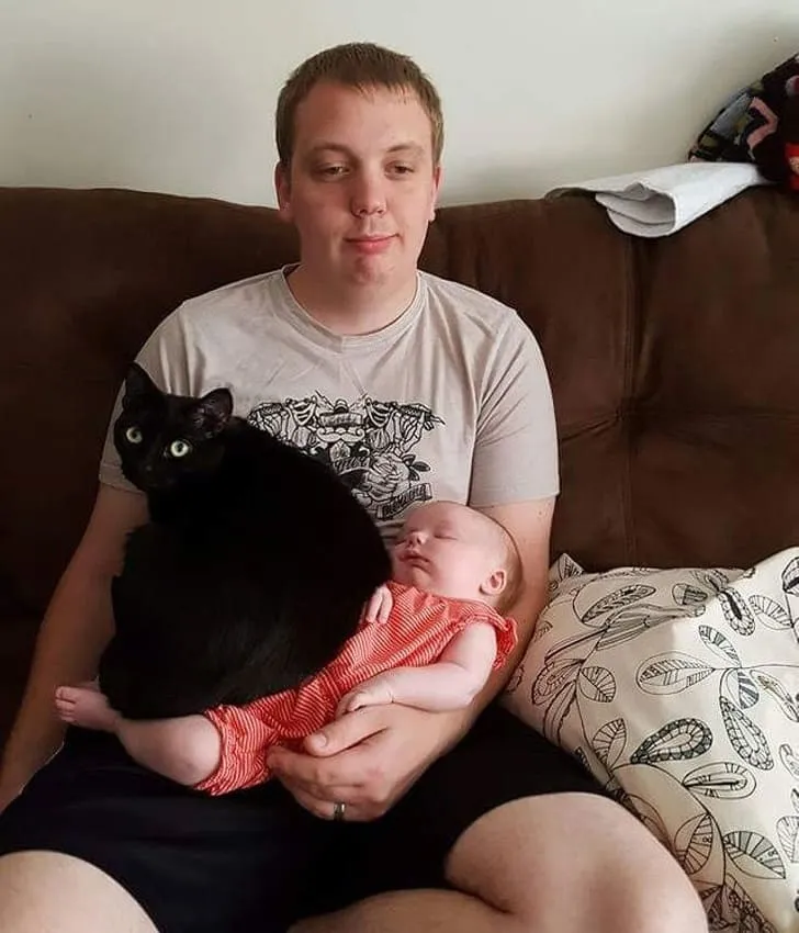 Удобно устроилась.