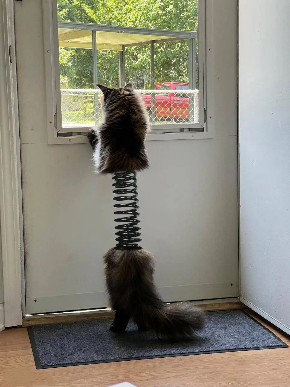 1.