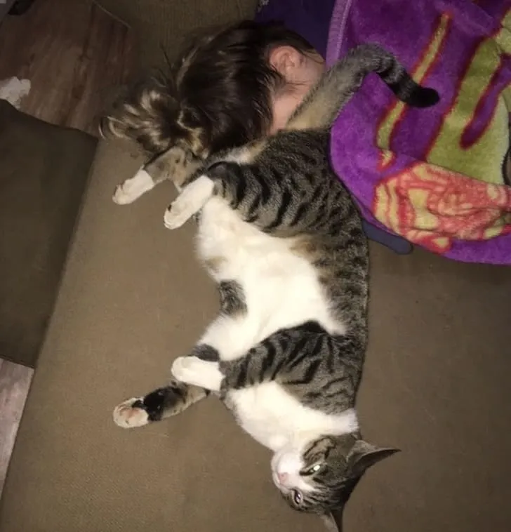 «Что-то не так?»