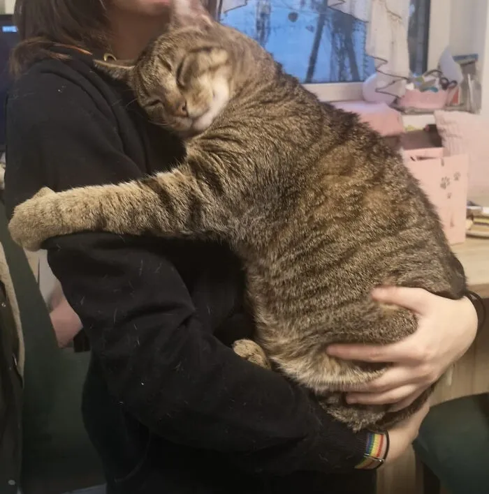 «Кошка моей тети крепко обнимает меня каждый раз, когда я беру ее на руки».