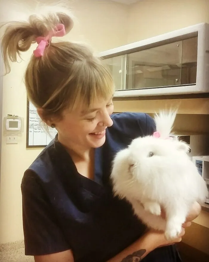 Милейшие хвостатики.