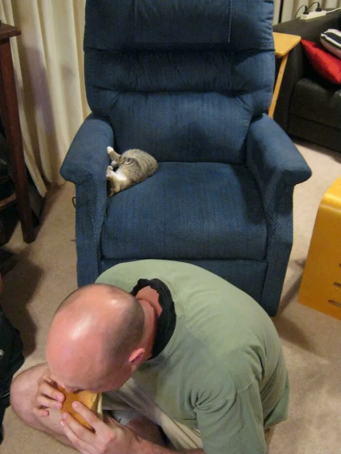 «Мой муж обедает на полу, потому что не хочет будить кошку».