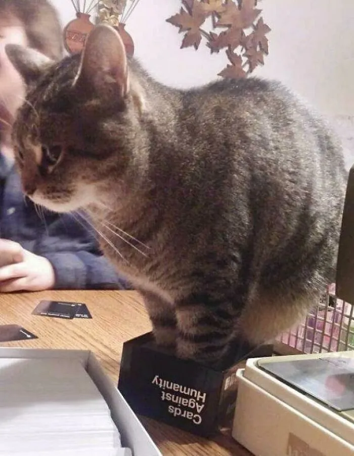 Удобненько.