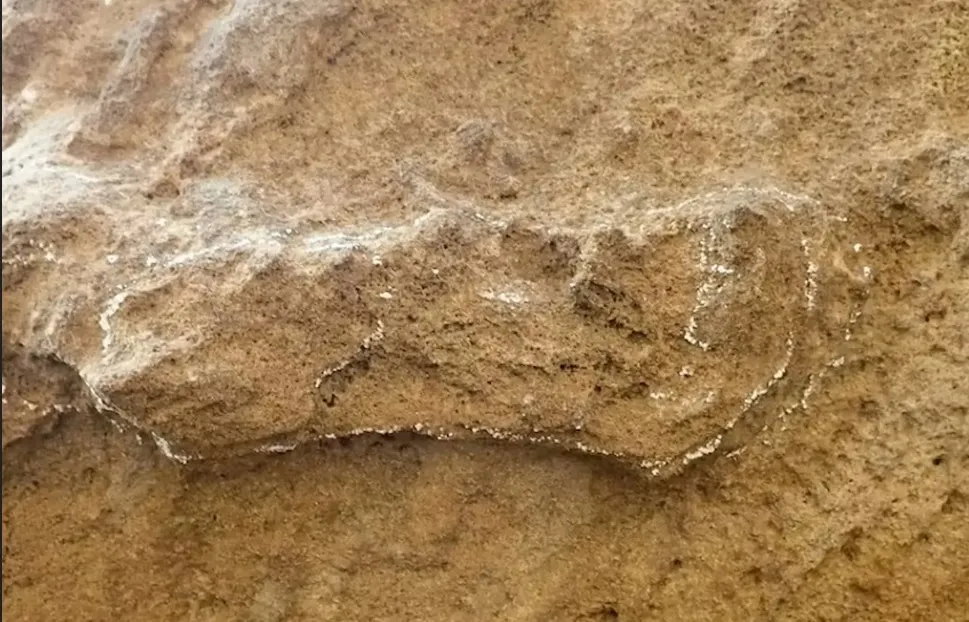 Самые старые следы Homo sapiens.