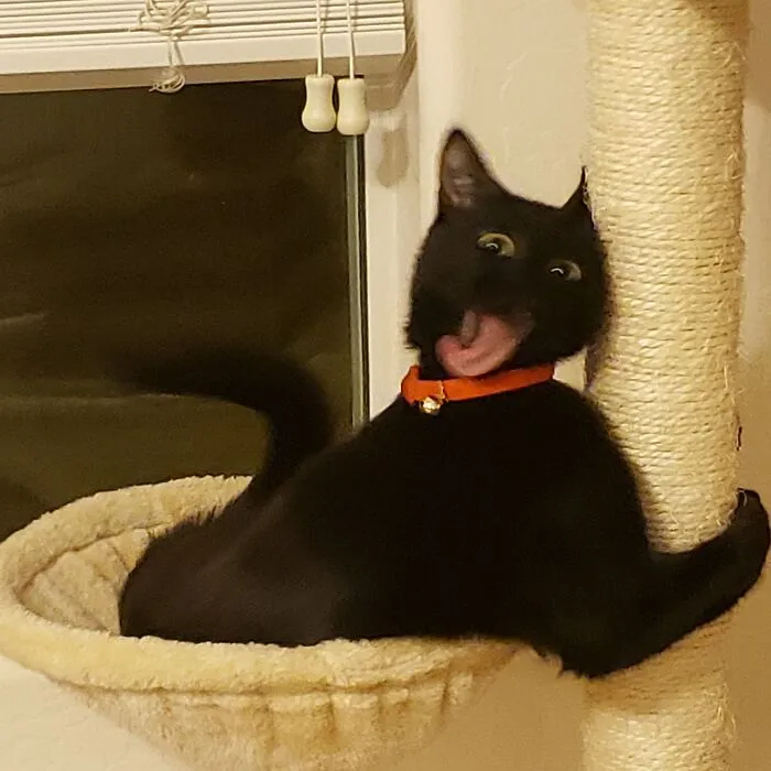 «Ошибка 404».