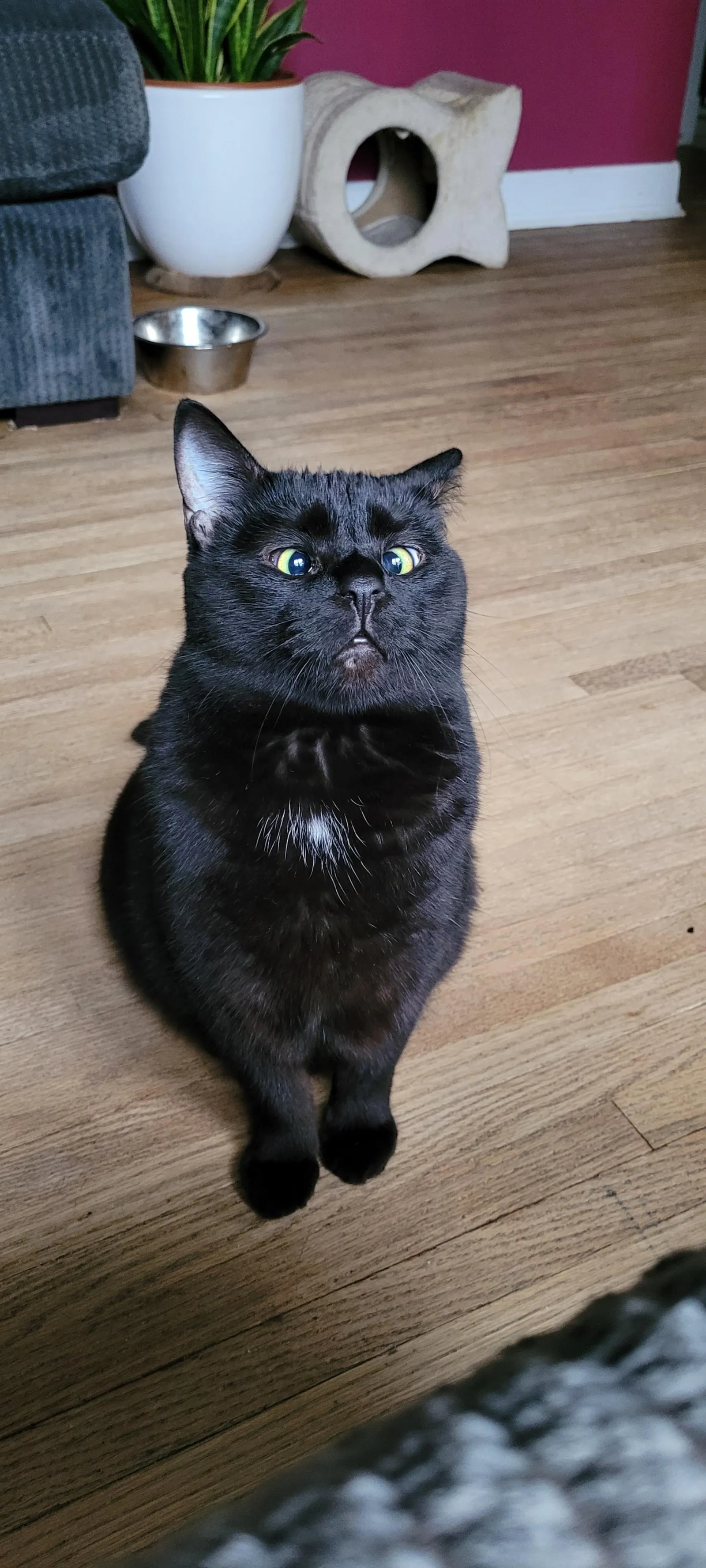 «Фрэнсис любит наблюдать за птицами».