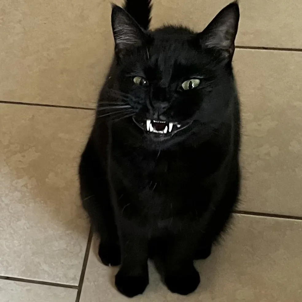 «Улыбайся!»