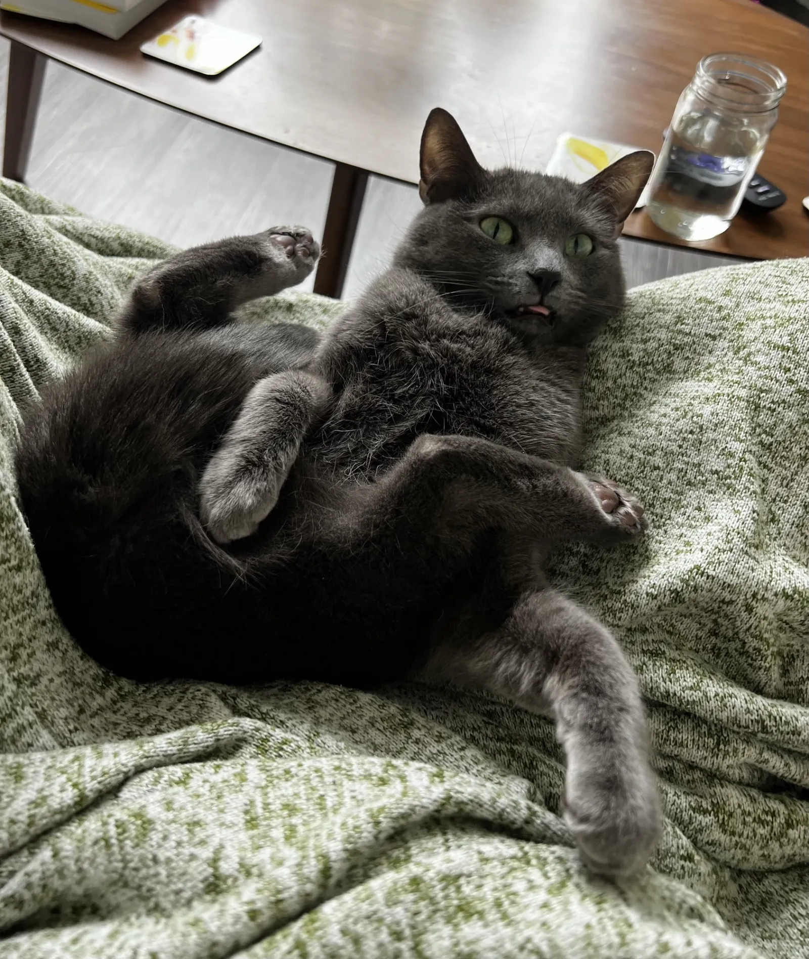 «Мисс Конгениальность».