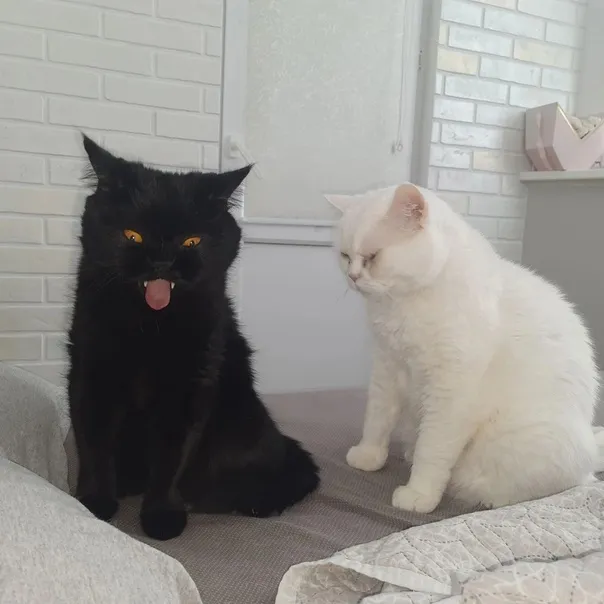 «Он всегда отличался от других».