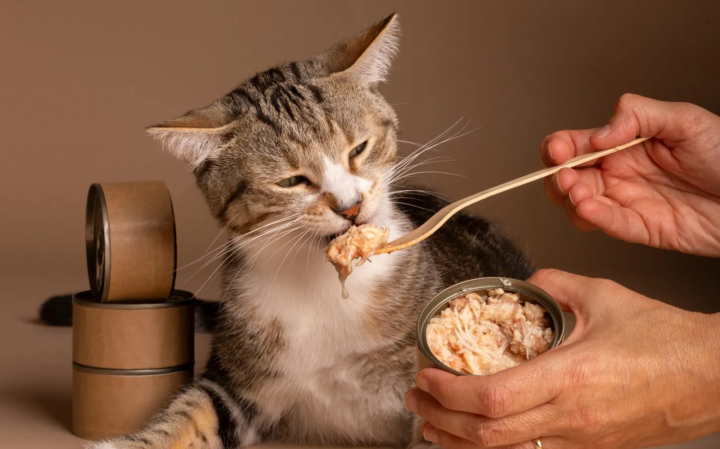 Избегайте дополнительных лакомств.