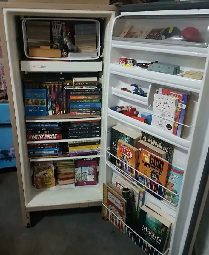 Домашняя компактная библиотека.