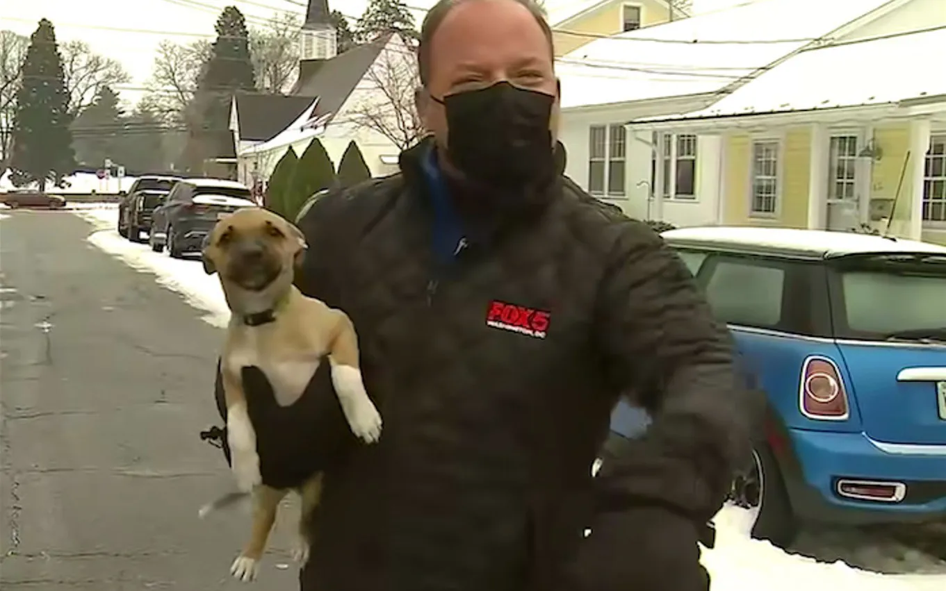 Боб Барнард и малыш Пероги.